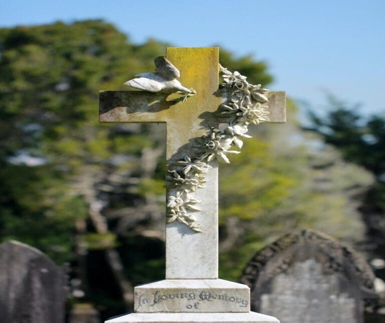 Which policy is best for funeral and cremation costs